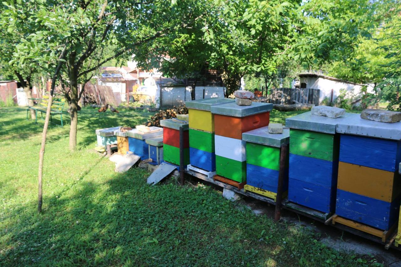 Apartman Rudnik Vrdnik Buitenkant foto