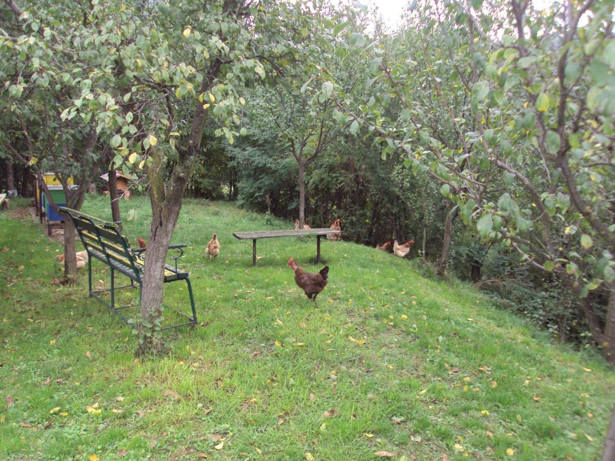 Apartman Rudnik Vrdnik Buitenkant foto
